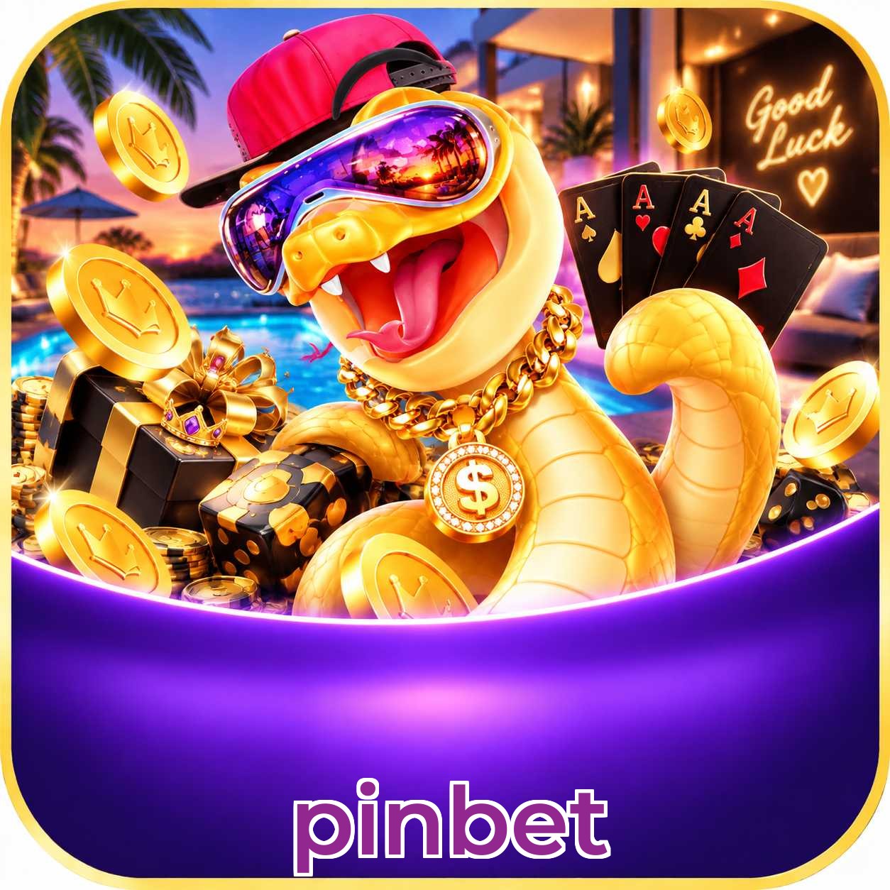 pinbet FAQ